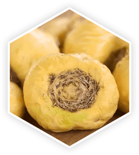 Artichoke Extract